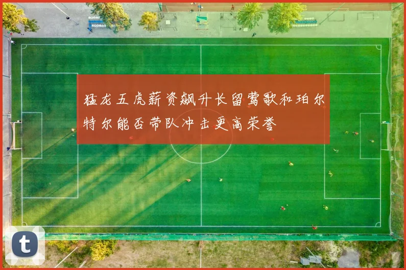 猛龙五虎薪资飙升长留莺歌和珀尔特尔能否带队冲击更高荣誉
