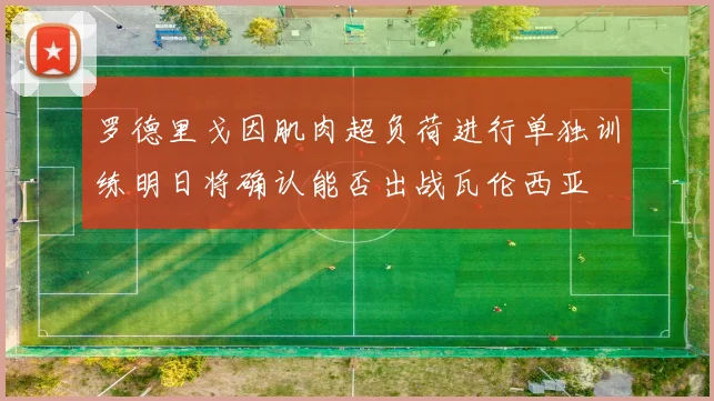 罗德里戈因肌肉超负荷进行单独训练明日将确认能否出战瓦伦西亚