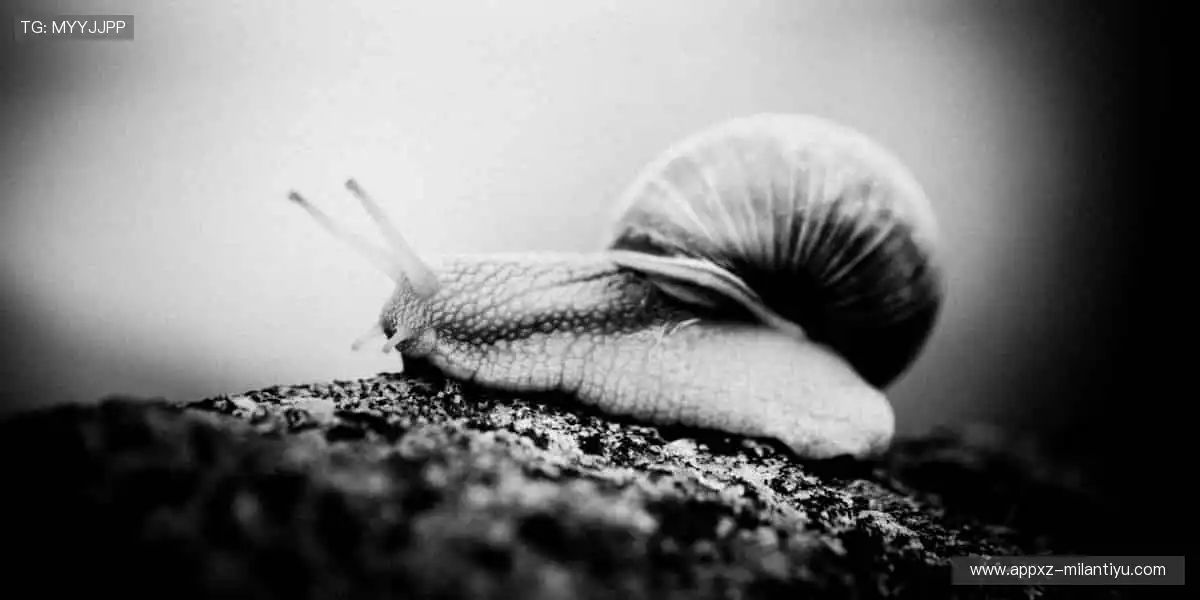 🎮 一键开启，畅享沉浸式体验！🌟