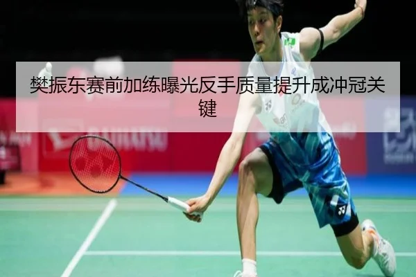 樊振东赛前加练曝光反手质量提升成冲冠关键 | MILANSPORT